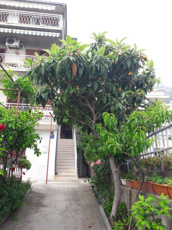 Apartman Adriatic Pavlinovic - Makarska Exterior foto